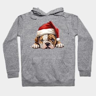 Christmas Peeking Puppy Hoodie